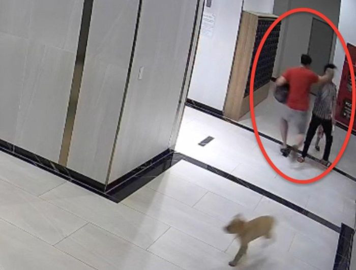 [Video] Bị hành hung vì đuổi chó không rọ mõm đang áp sát con trai
